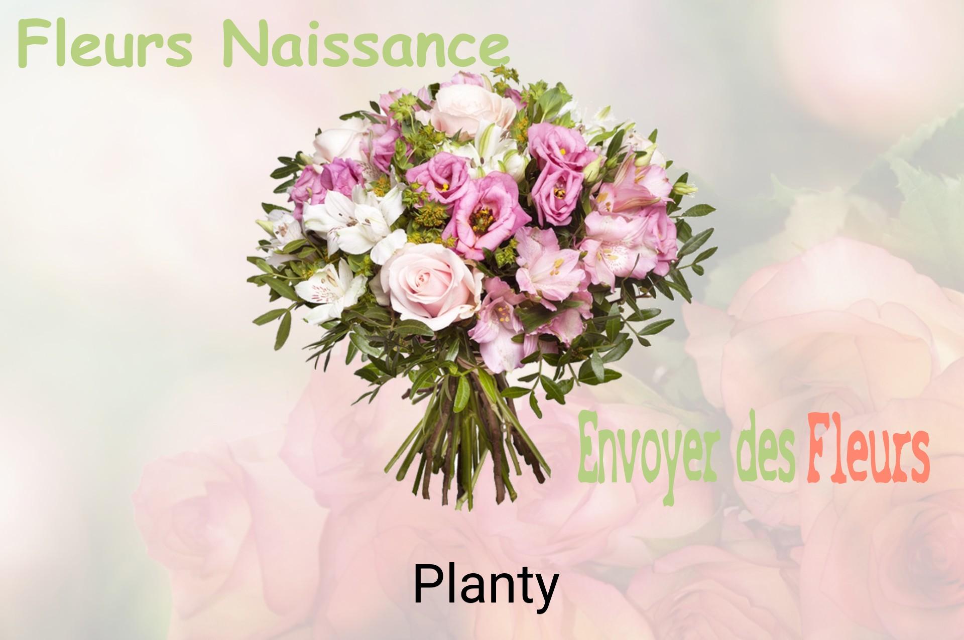 Bouquet de fleurs de naissance livré à Planty