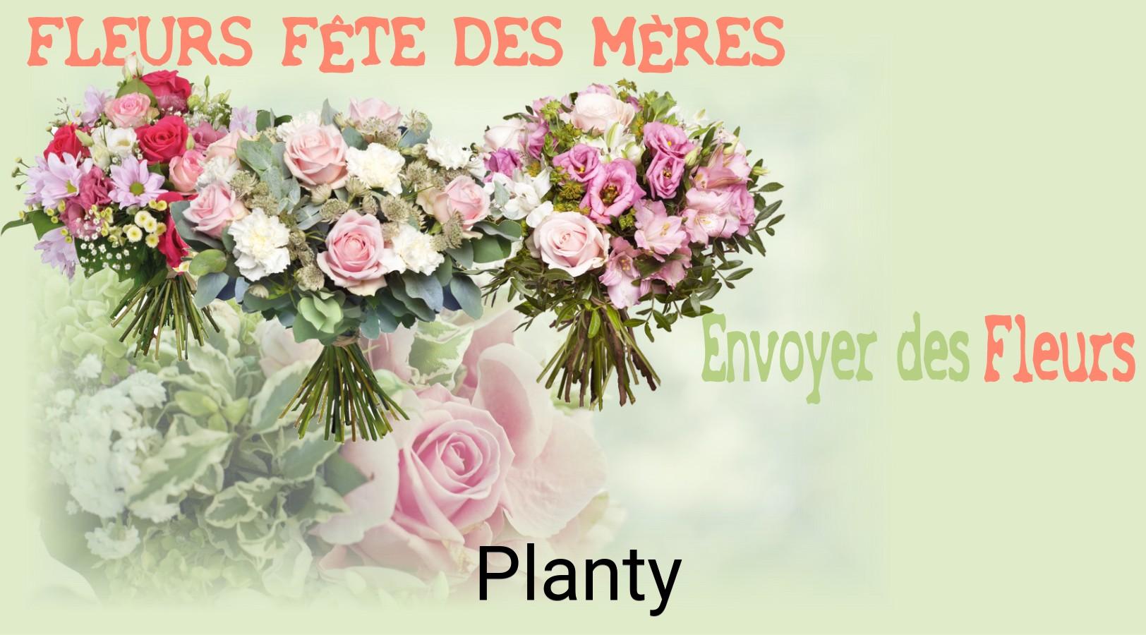Bouquet de Fête des Mères livré à Planty